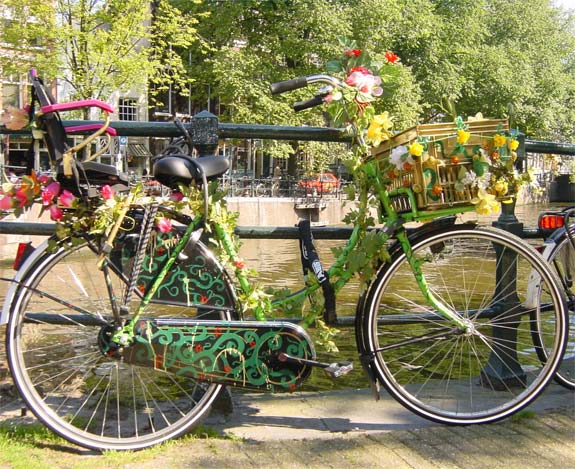 1st International Conference on Quantum Information Technologies Applied to Nature and Society :: QUITANS 2018 :: Amsterdam, the Netherlands :: June 28 – 30, 2018